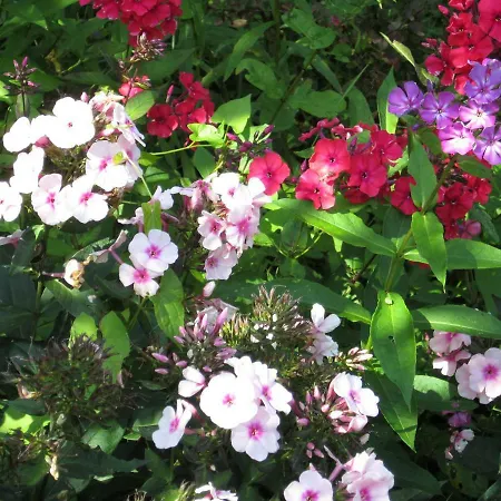 Anna Διαμέρισμα