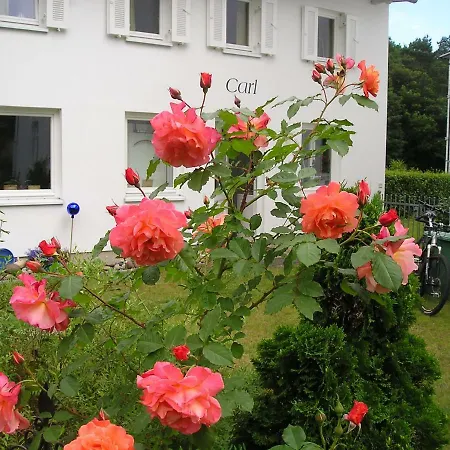 Appartement Anna